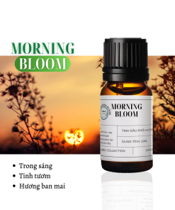 tinh dầu làm nến phối hương tinh dầu làm nước hoa